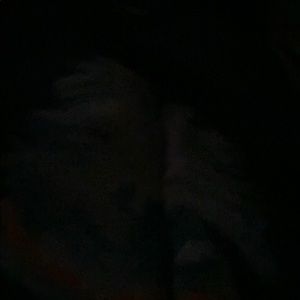 Meet your Posher, Angelica